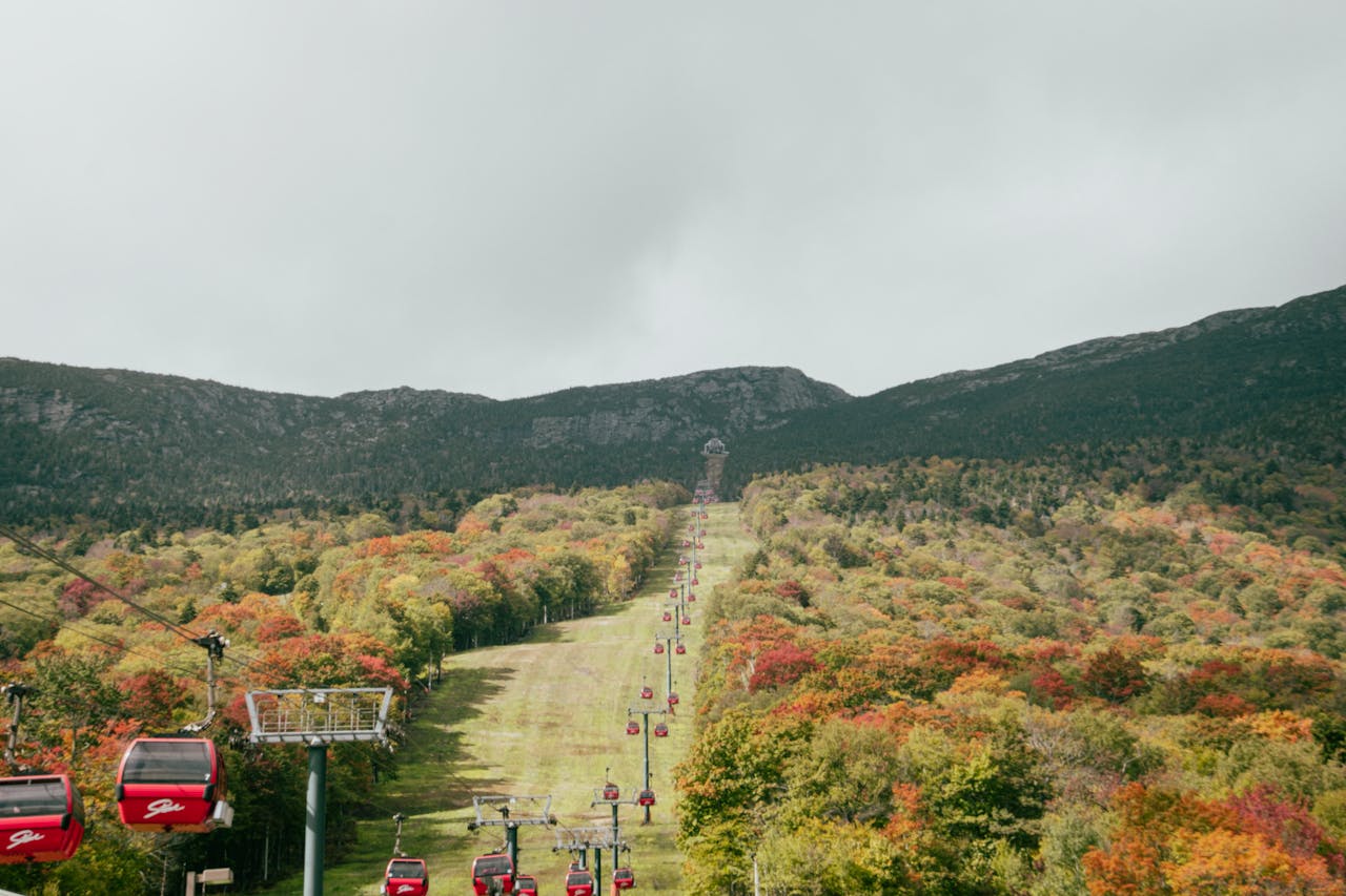 A stunning view of red gondolas ascending a forested mountain landscape in autumn.