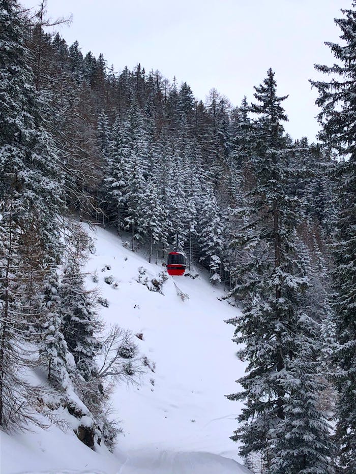 Red cable car traversing a snowy pine forest in a serene winter landscape.