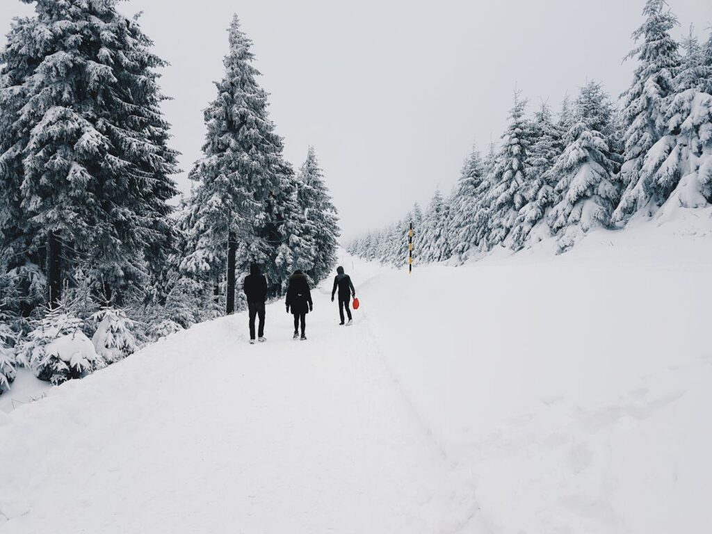 Hikers explore a scenic winter landscape with snow-covered trees and a snowy path.